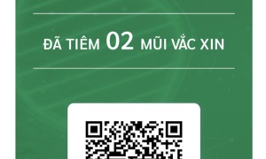 TPHCM: từ 0 giờ ngày 16-9 đến hết ngày 30-9-2021, thí điểm triển khai thực hiện Thẻ Xanh COVID gắn với mã QR cá nhân tại Quận 7, Củ Chi, Cần Giờ; Shipper được chạy liên quận